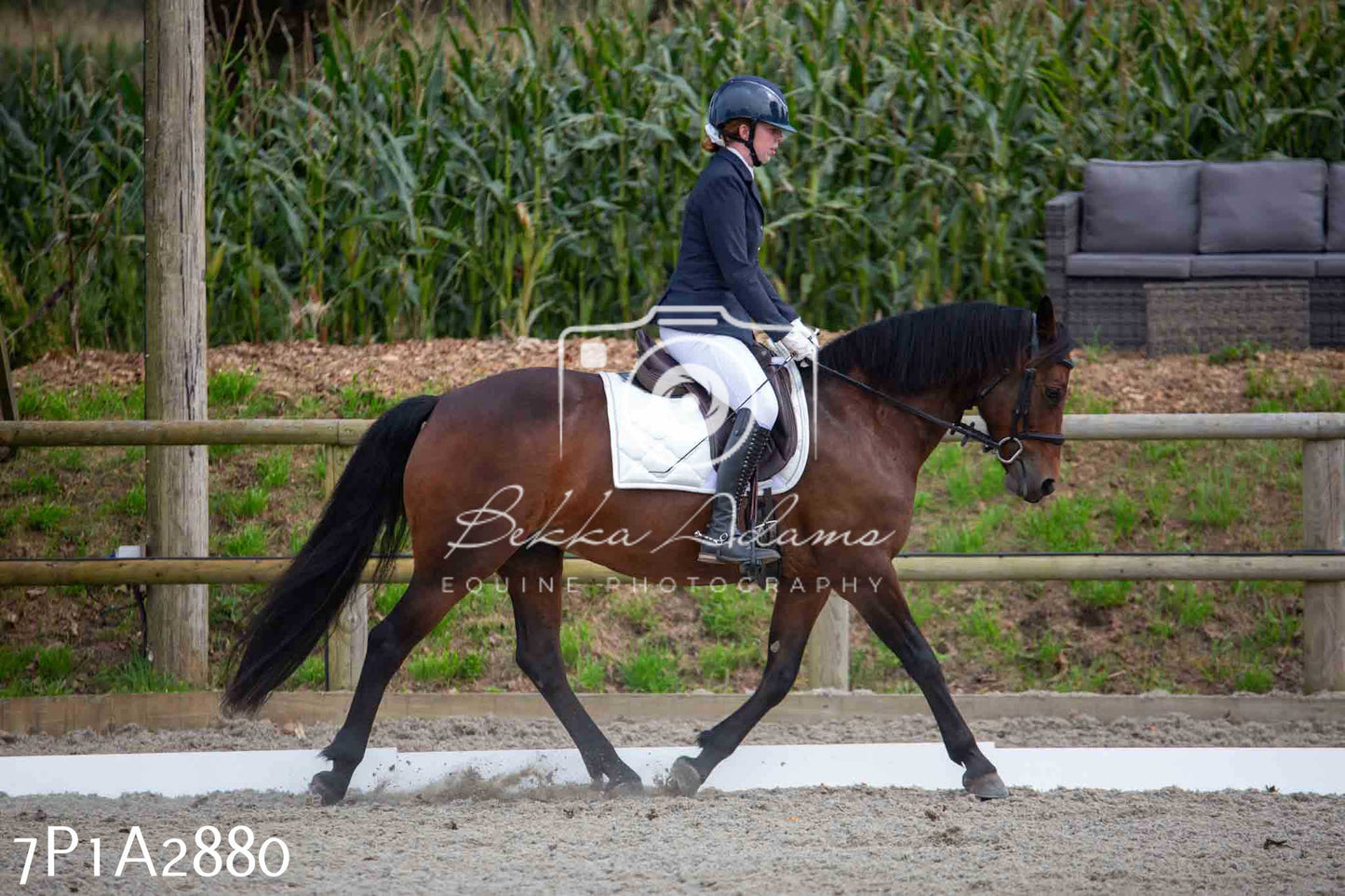 JHOYS 2023 - 7th Septemeber - Dressage