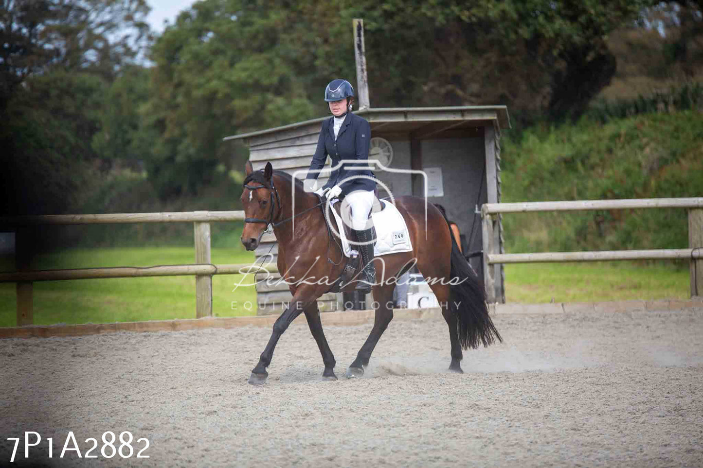 JHOYS 2023 - 7th Septemeber - Dressage
