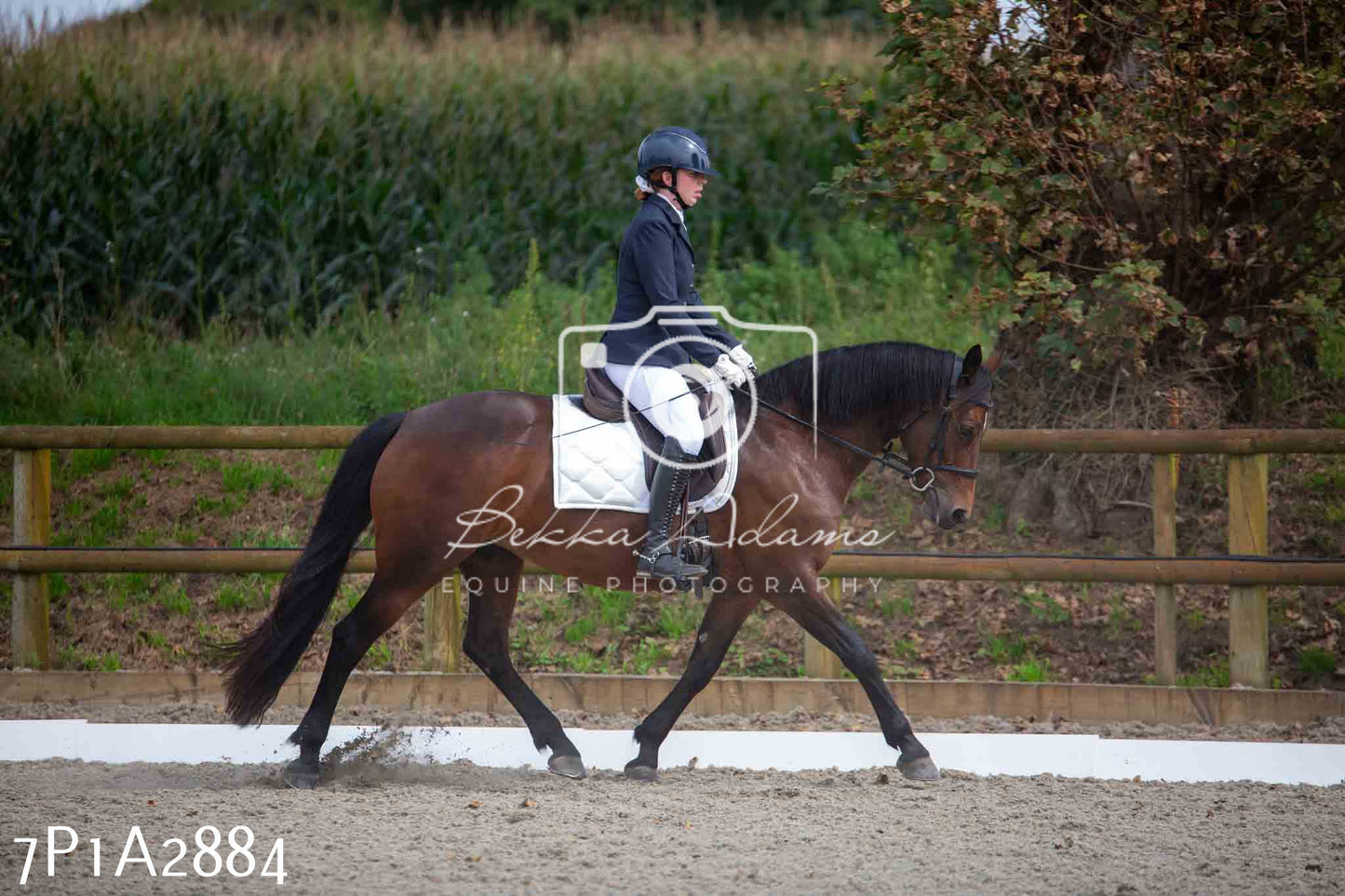 JHOYS 2023 - 7th Septemeber - Dressage