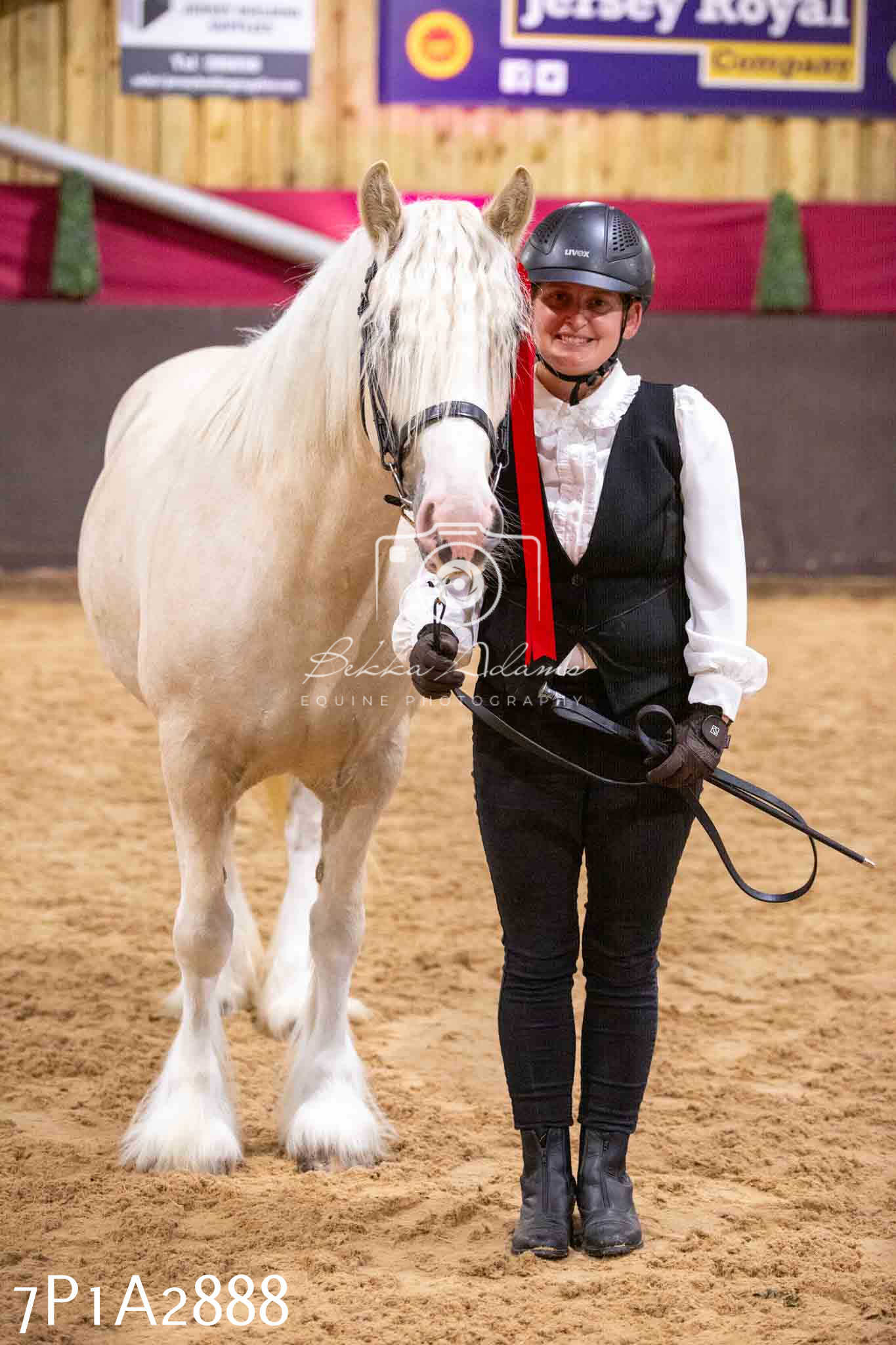 Home Farm Funshine Show 2024 - Inhand Showing 14th September