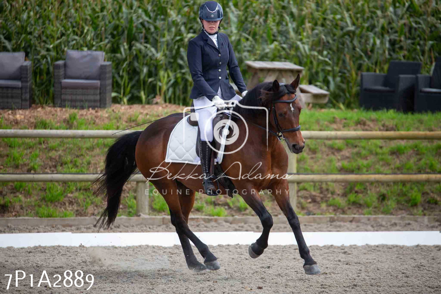 JHOYS 2023 - 7th Septemeber - Dressage