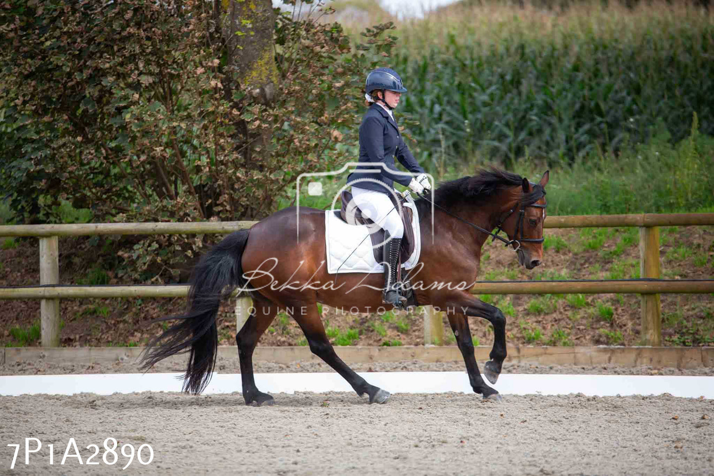 JHOYS 2023 - 7th Septemeber - Dressage