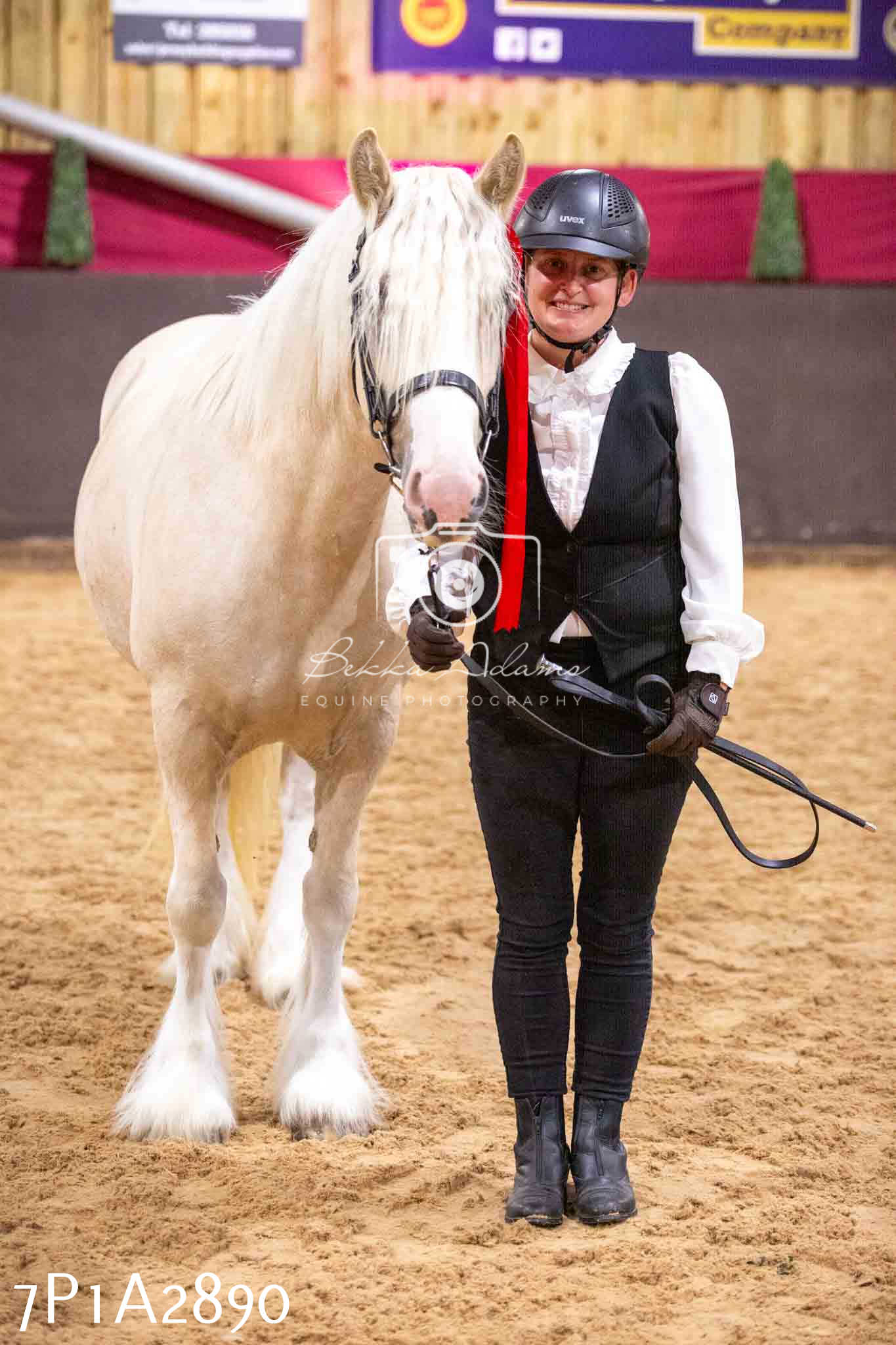 Home Farm Funshine Show 2024 - Inhand Showing 14th September