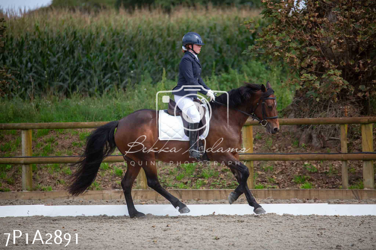 JHOYS 2023 - 7th Septemeber - Dressage