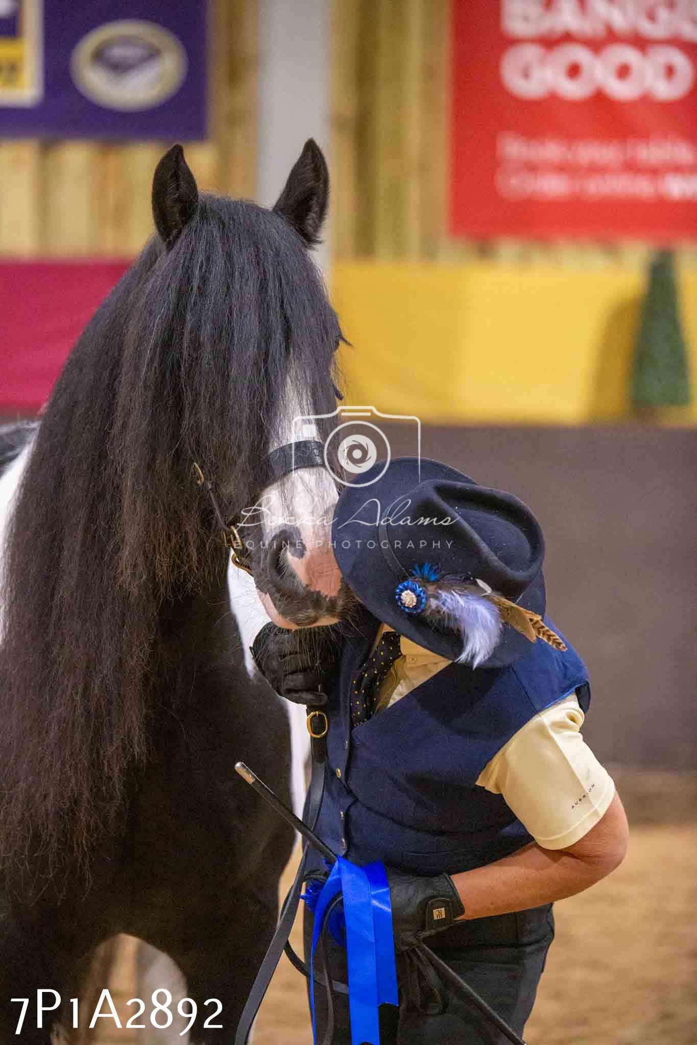 Home Farm Funshine Show 2024 - Inhand Showing 14th September