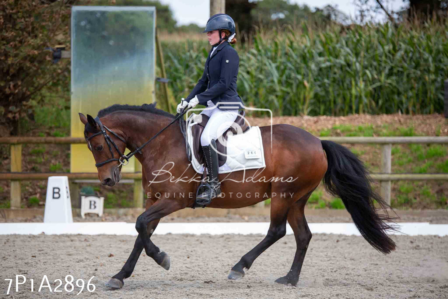 JHOYS 2023 - 7th Septemeber - Dressage