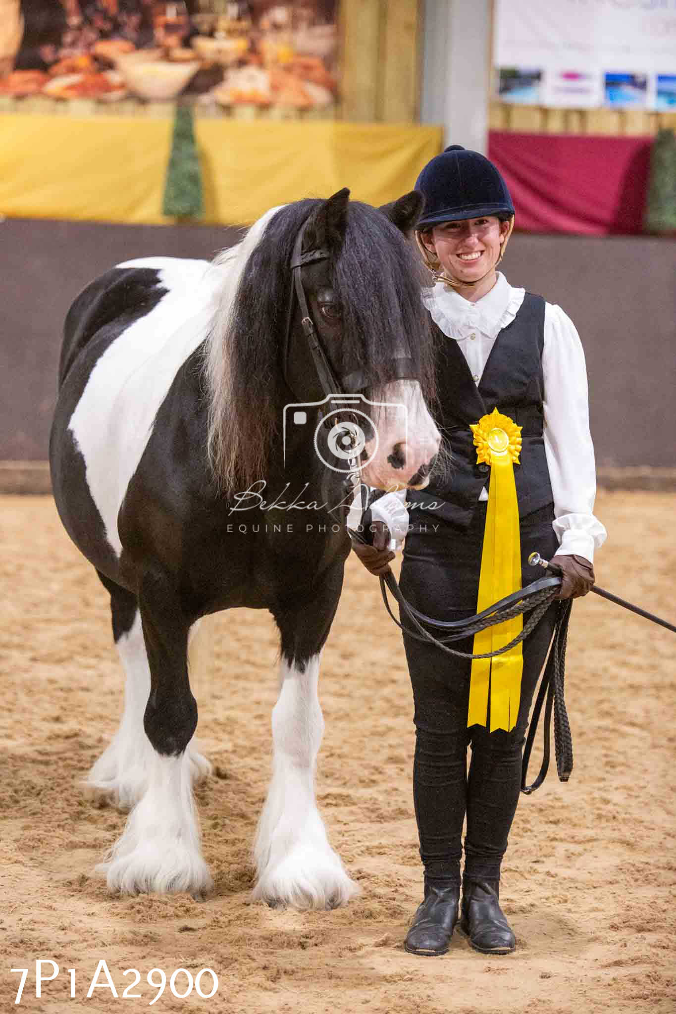 Home Farm Funshine Show 2024 - Inhand Showing 14th September