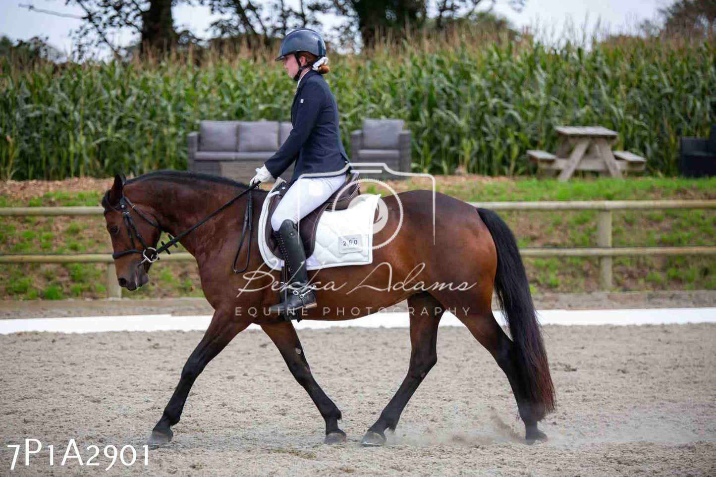 JHOYS 2023 - 7th Septemeber - Dressage