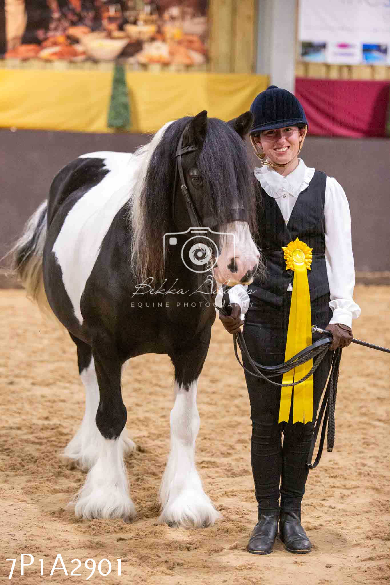 Home Farm Funshine Show 2024 - Inhand Showing 14th September