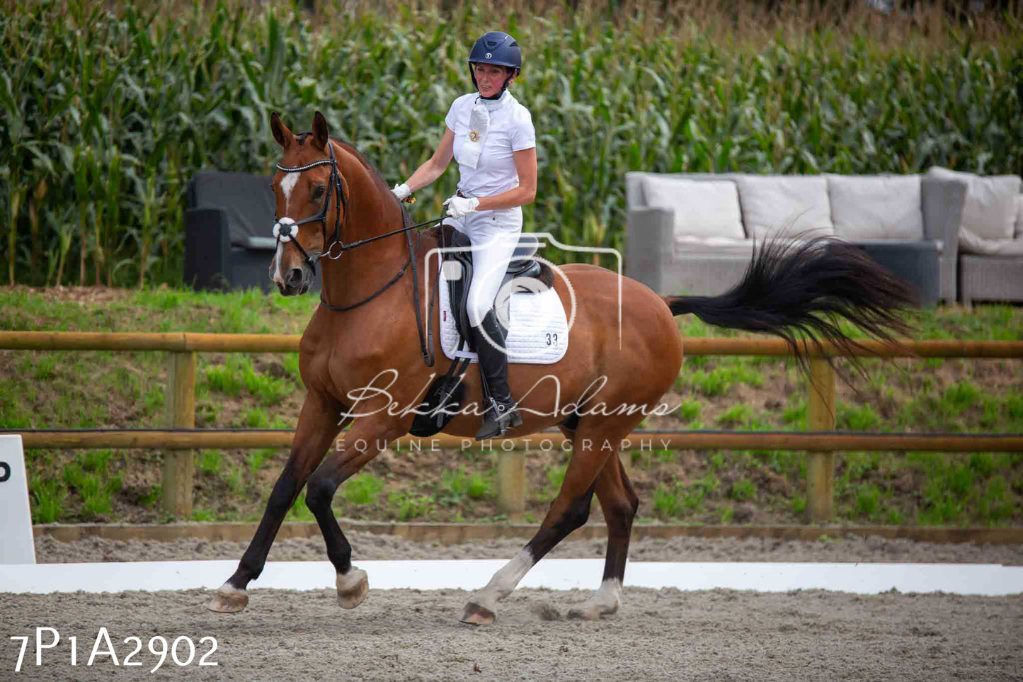 JHOYS 2023 - 7th Septemeber - Dressage