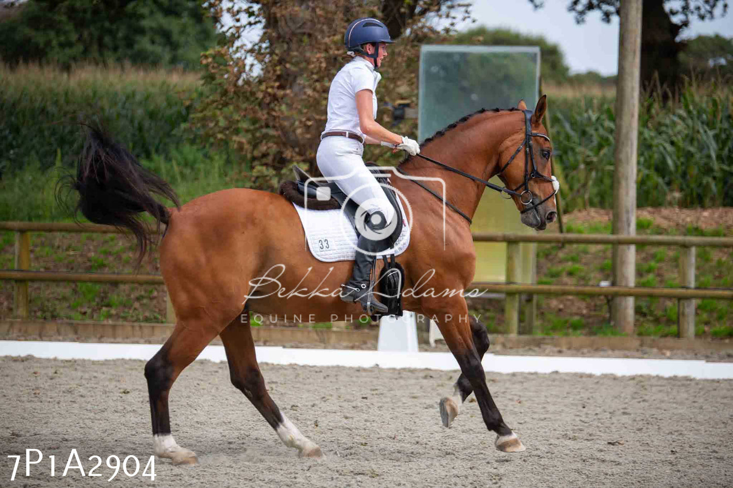 JHOYS 2023 - 7th Septemeber - Dressage