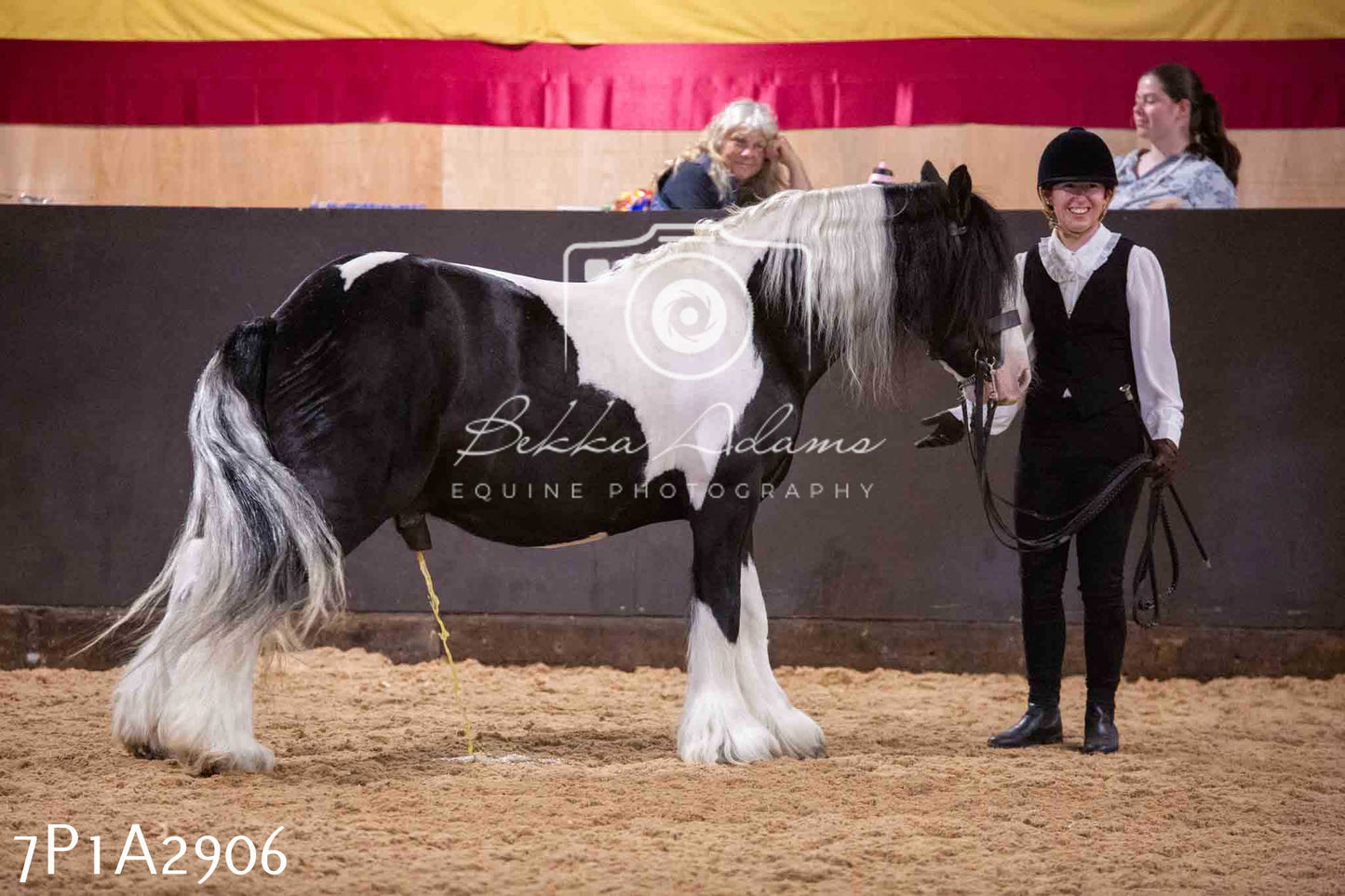Home Farm Funshine Show 2024 - Inhand Showing 14th September