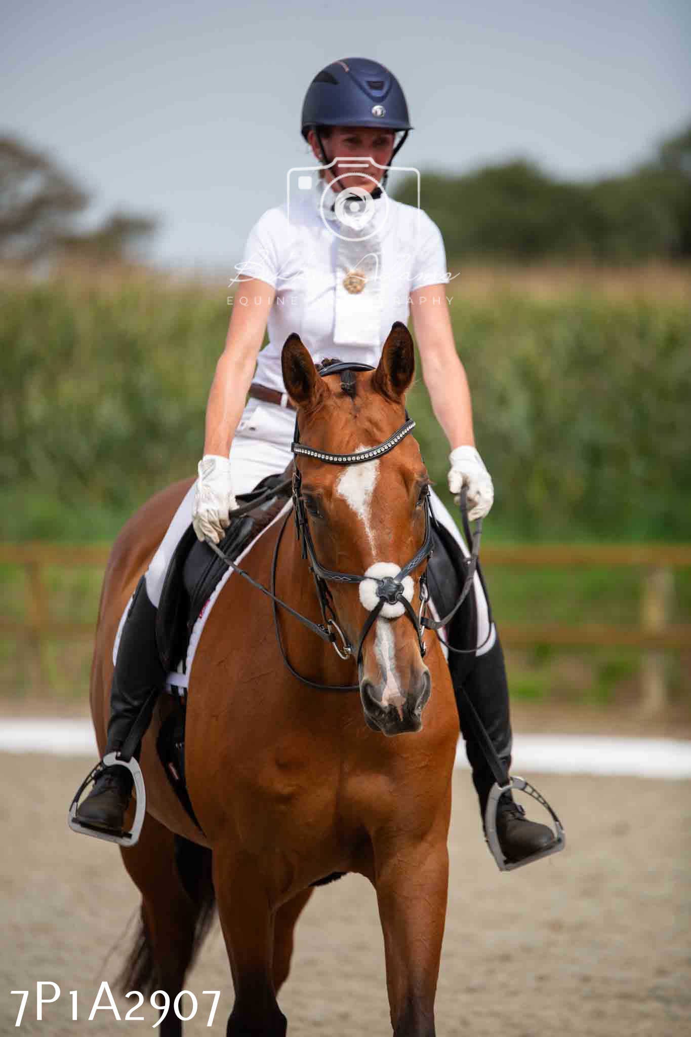 JHOYS 2023 - 7th Septemeber - Dressage