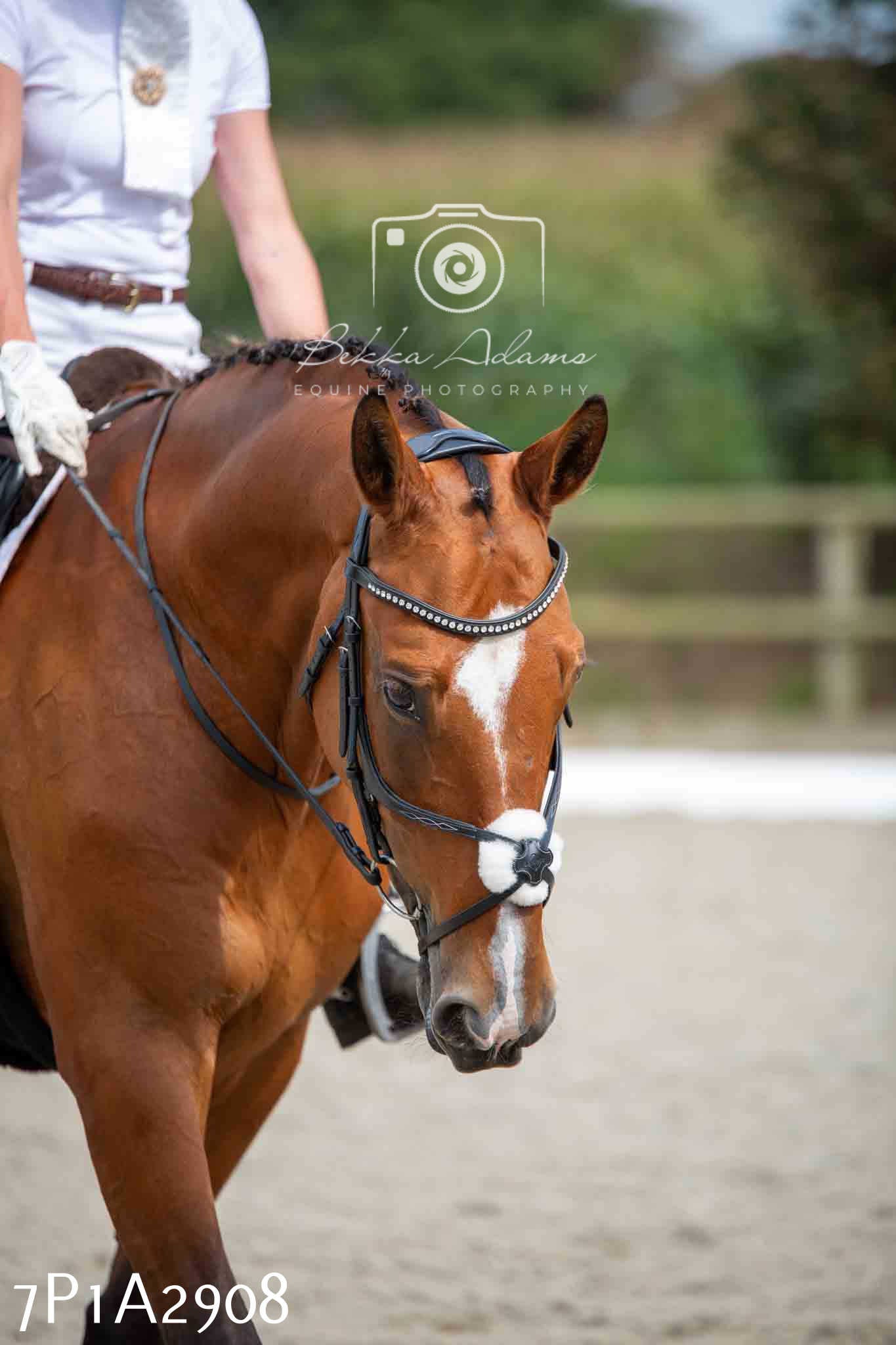 JHOYS 2023 - 7th Septemeber - Dressage
