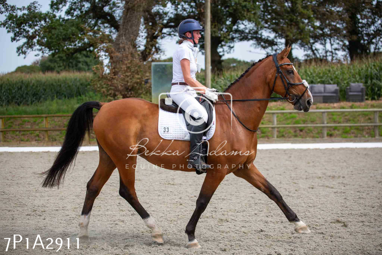 JHOYS 2023 - 7th Septemeber - Dressage