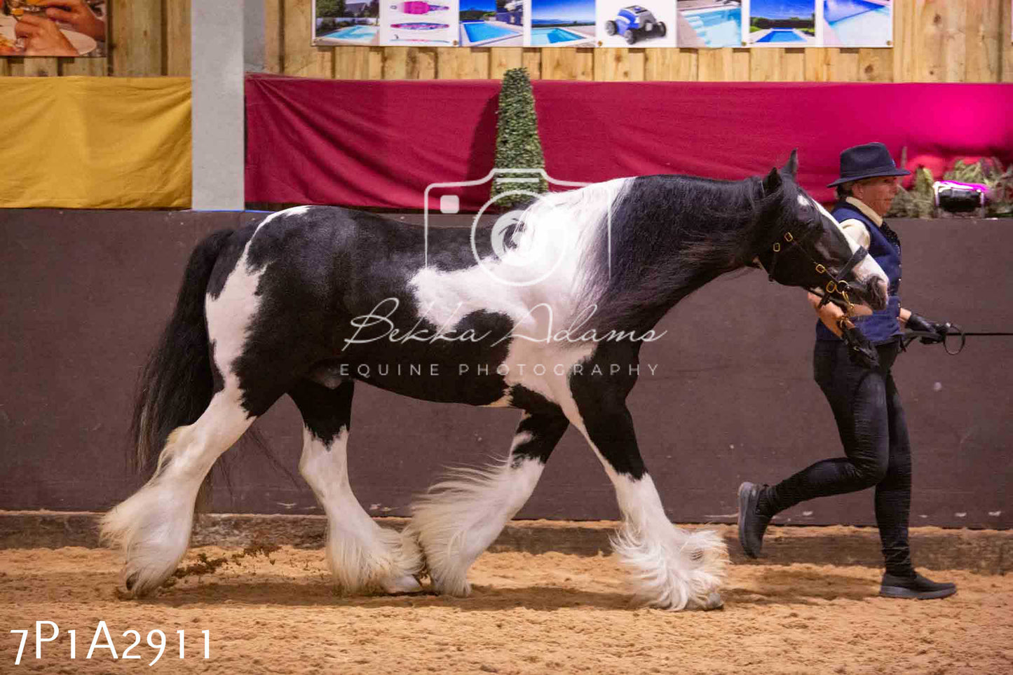 Home Farm Funshine Show 2024 - Inhand Showing 14th September
