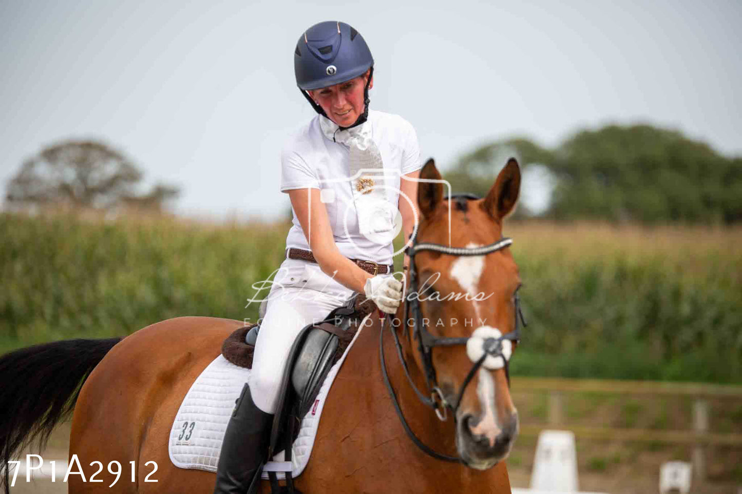 JHOYS 2023 - 7th Septemeber - Dressage