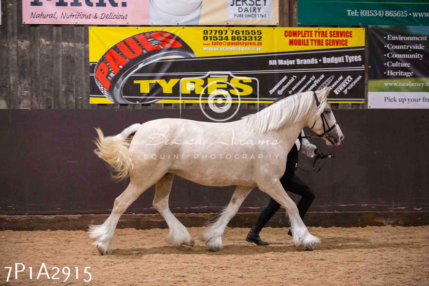 Home Farm Funshine Show 2024 - Inhand Showing 14th September