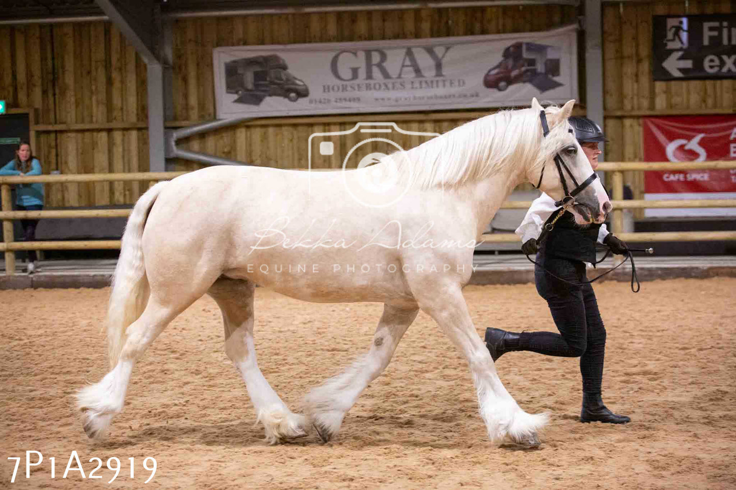 Home Farm Funshine Show 2024 - Inhand Showing 14th September