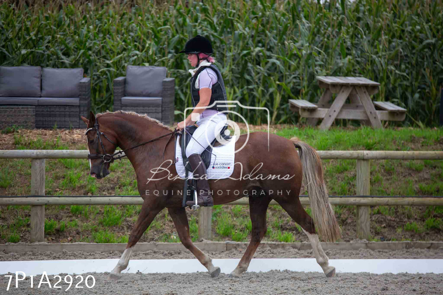 JHOYS 2023 - 7th Septemeber - Dressage