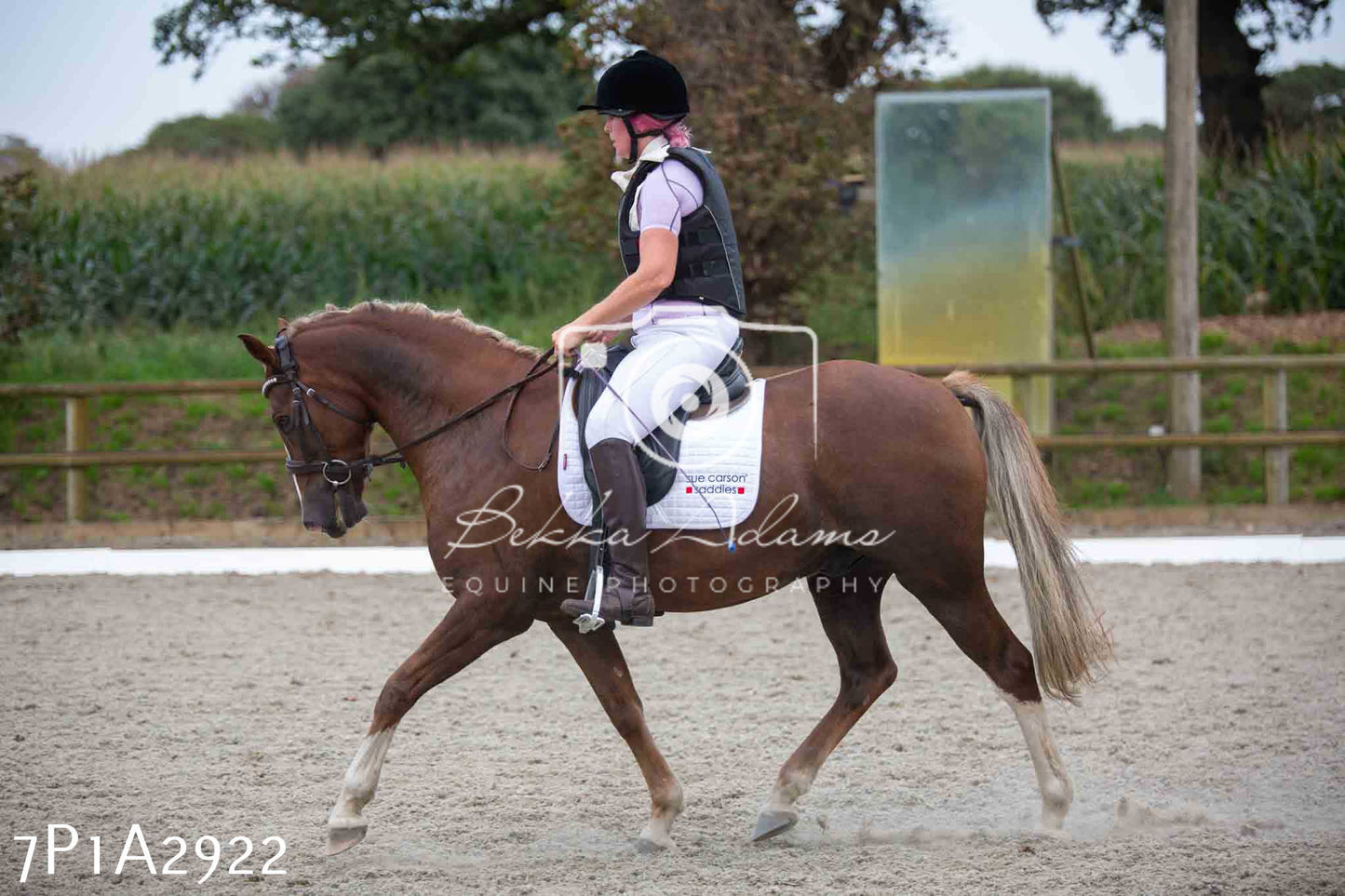 JHOYS 2023 - 7th Septemeber - Dressage
