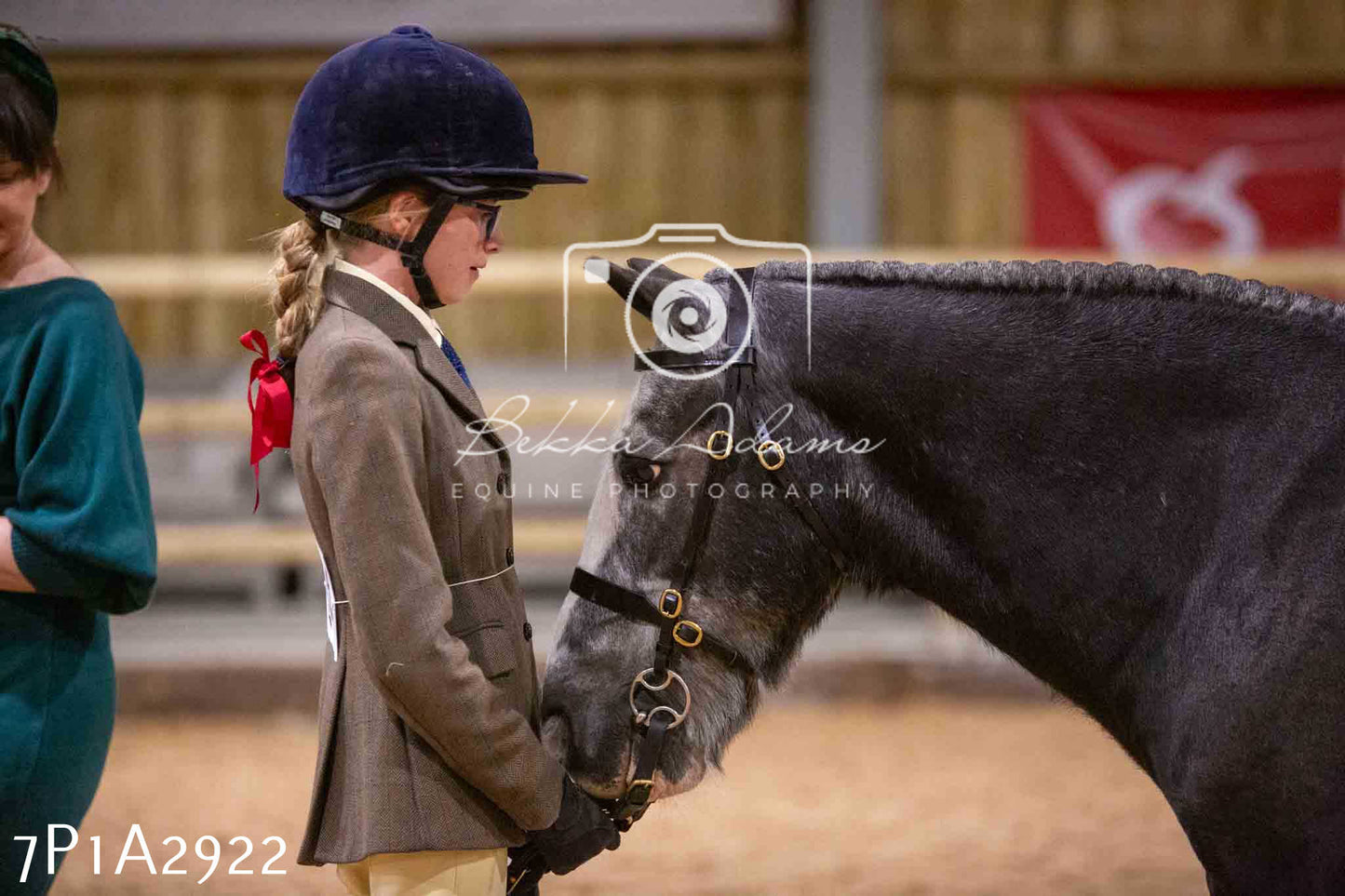 Home Farm Funshine Show 2024 - Inhand Showing 14th September