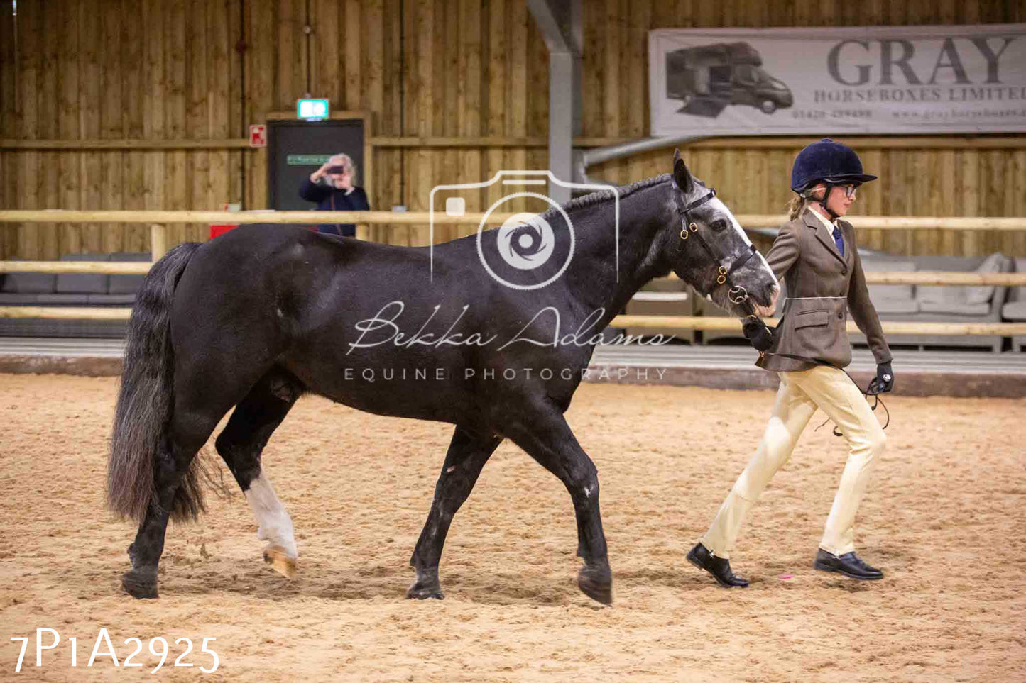 Home Farm Funshine Show 2024 - Inhand Showing 14th September