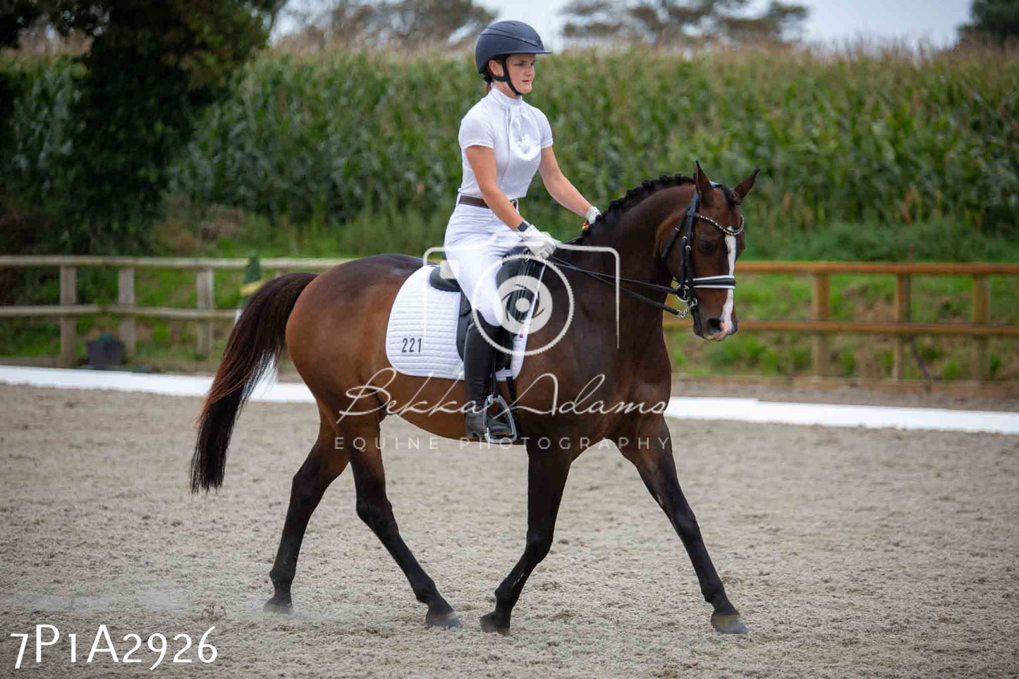 JHOYS 2023 - 7th Septemeber - Dressage