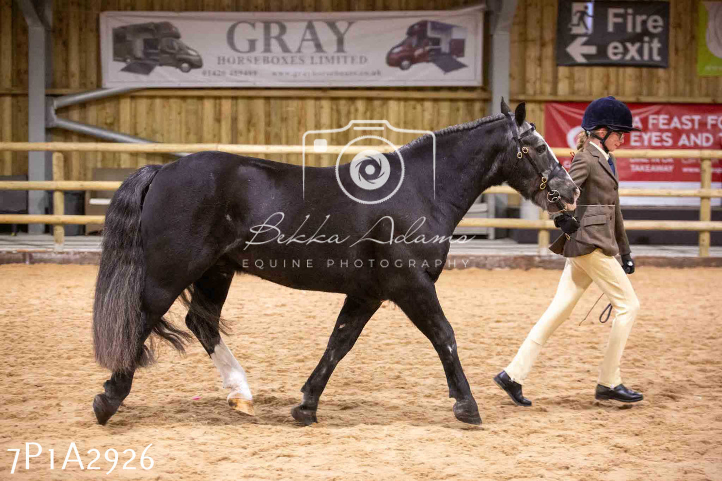 Home Farm Funshine Show 2024 - Inhand Showing 14th September