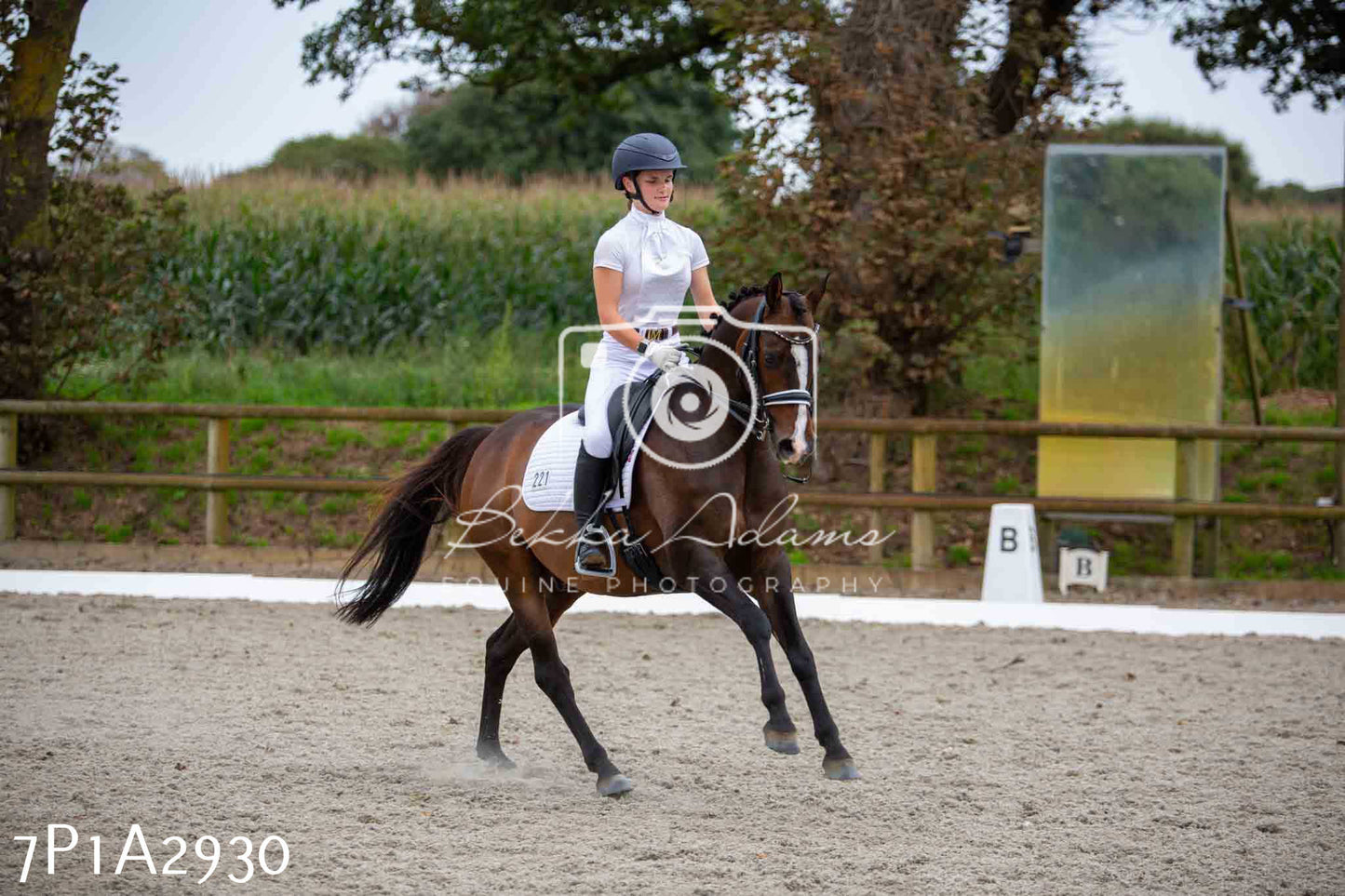 JHOYS 2023 - 7th Septemeber - Dressage