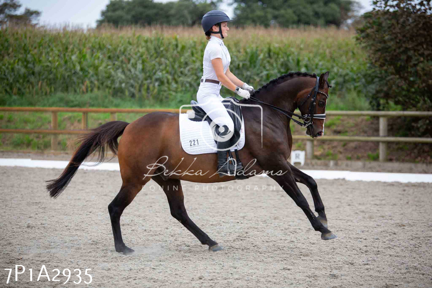 JHOYS 2023 - 7th Septemeber - Dressage
