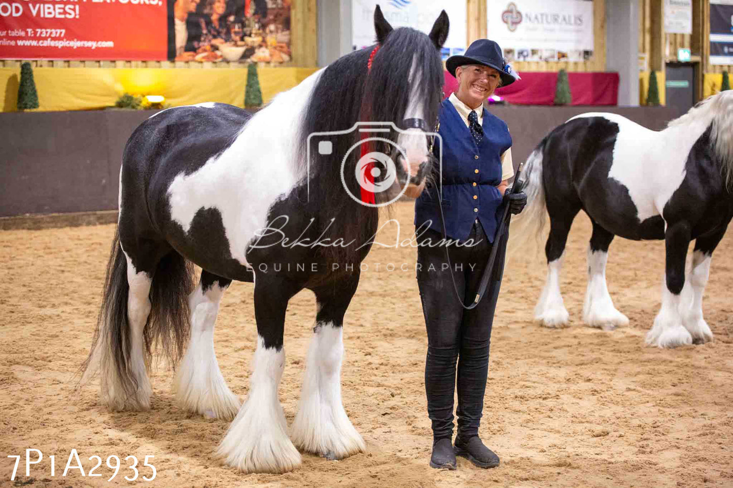 Home Farm Funshine Show 2024 - Inhand Showing 14th September
