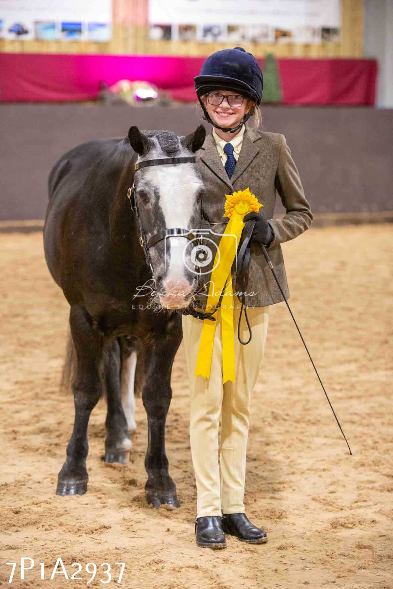 Home Farm Funshine Show 2024 - Inhand Showing 14th September