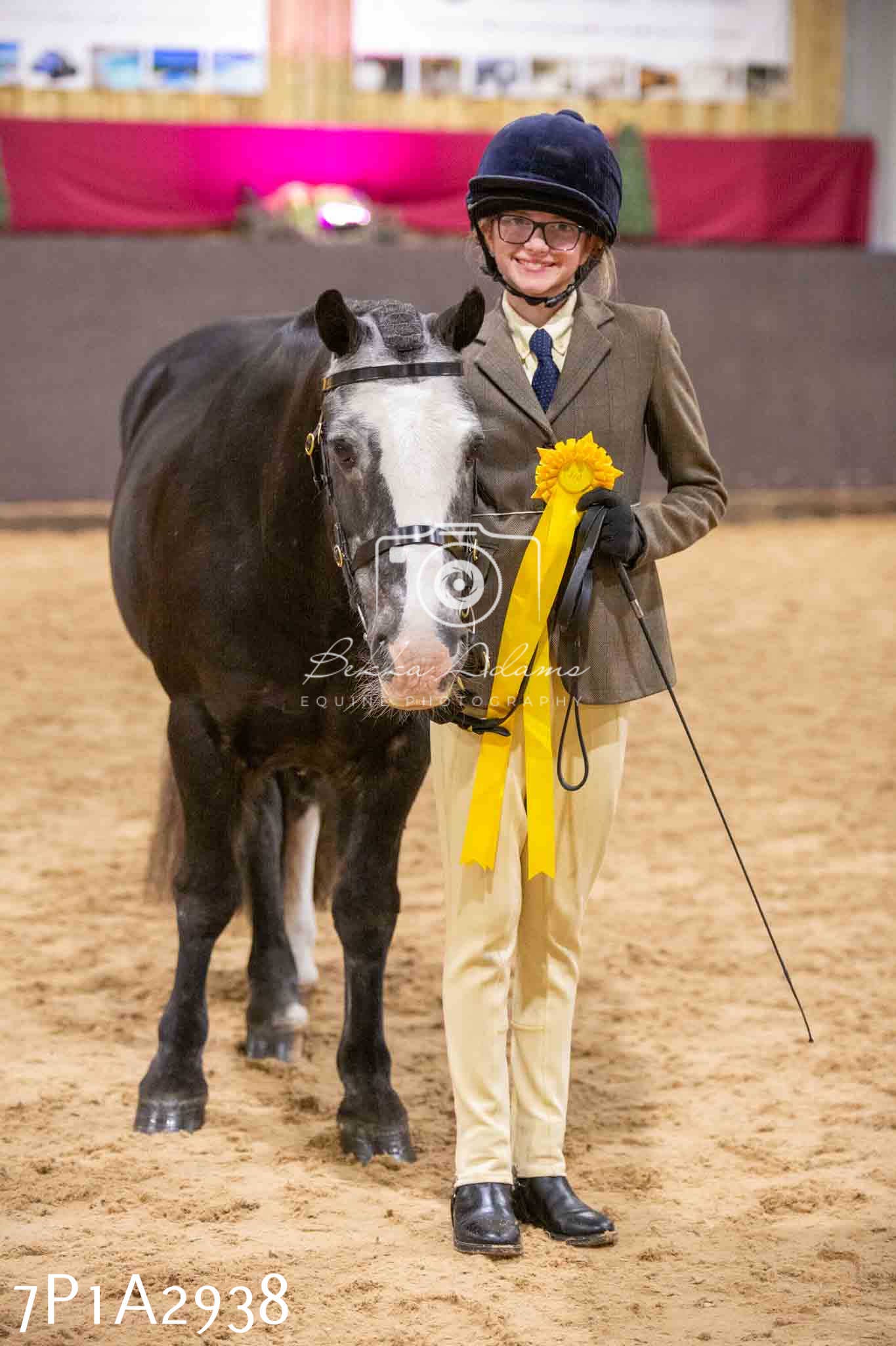 Home Farm Funshine Show 2024 - Inhand Showing 14th September