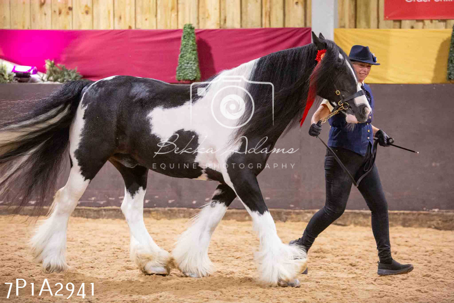 Home Farm Funshine Show 2024 - Inhand Showing 14th September