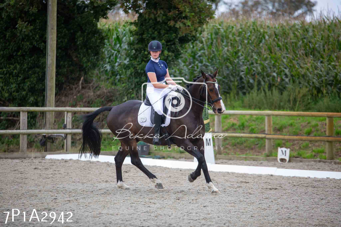 JHOYS 2023 - 7th Septemeber - Dressage