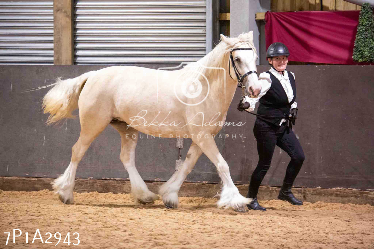 Home Farm Funshine Show 2024 - Inhand Showing 14th September