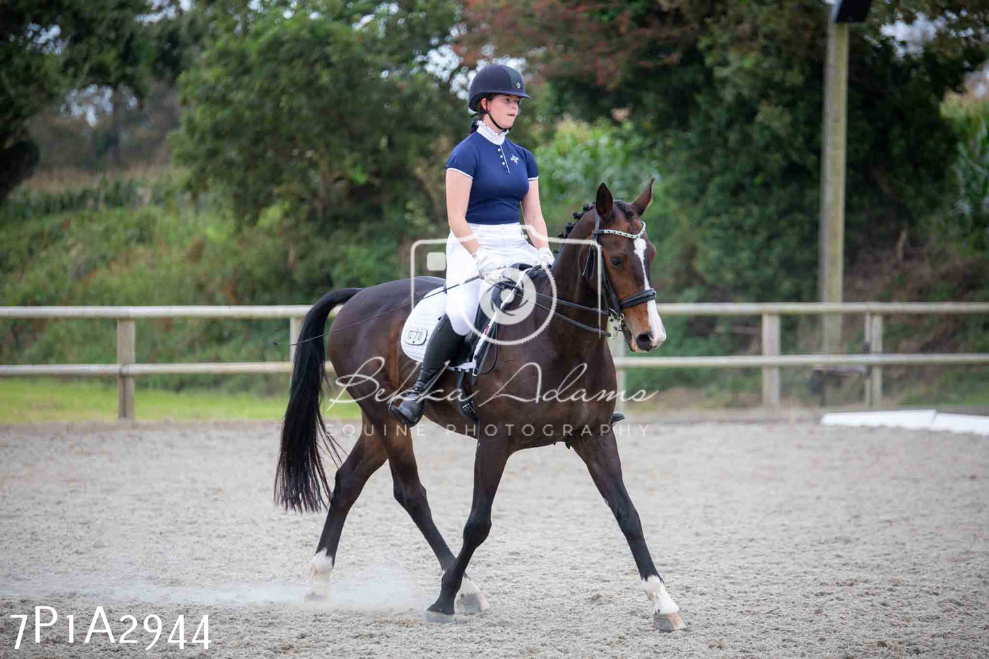 JHOYS 2023 - 7th Septemeber - Dressage