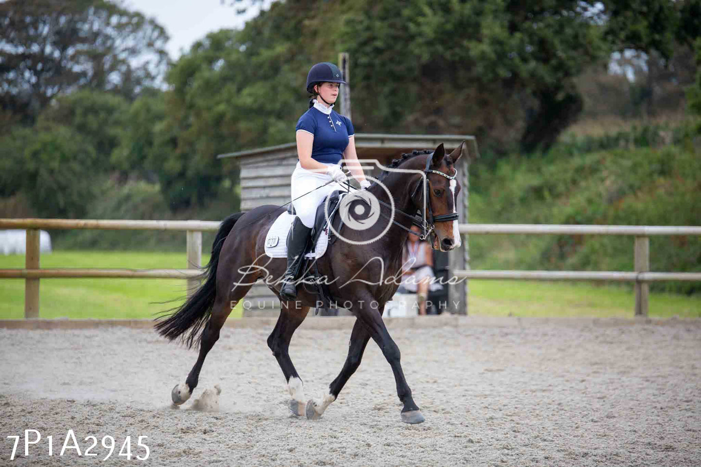 JHOYS 2023 - 7th Septemeber - Dressage