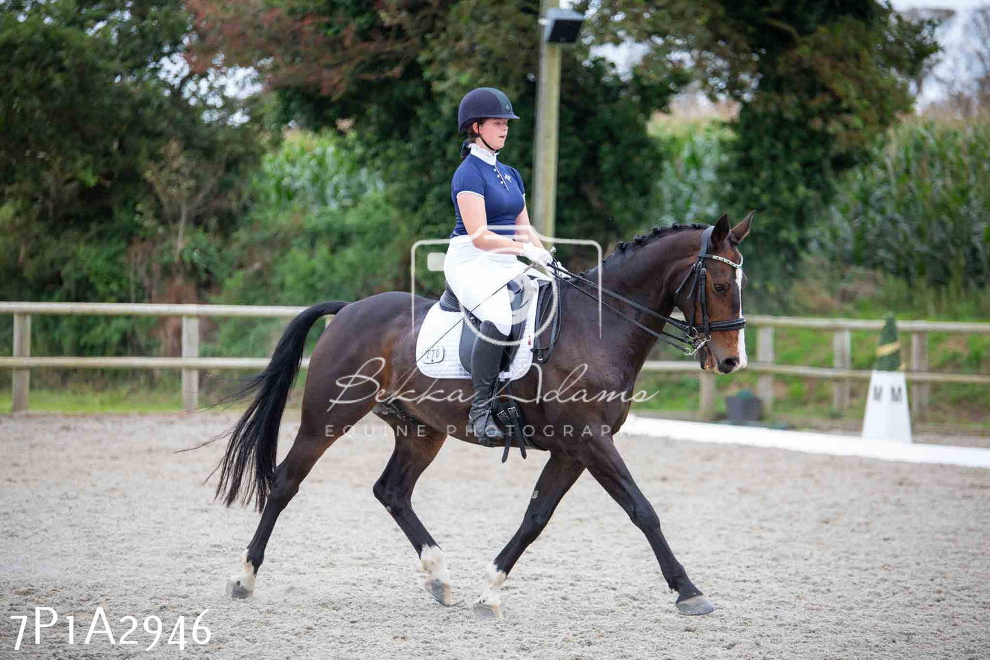 JHOYS 2023 - 7th Septemeber - Dressage