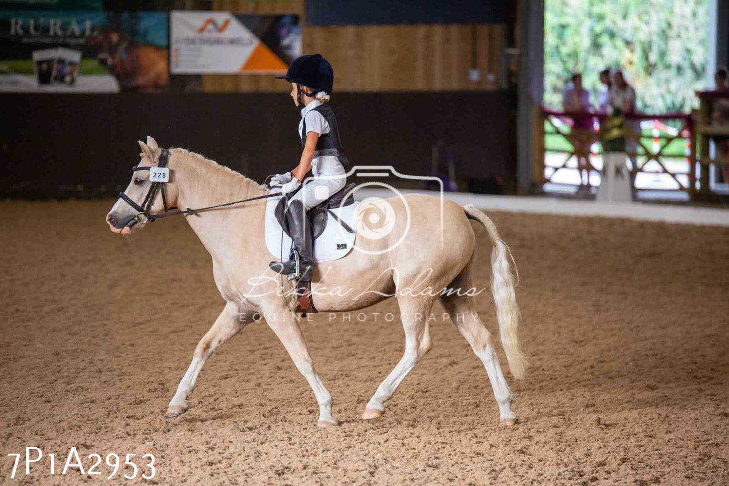 JHOYS 2023 - 7th Septemeber - Dressage