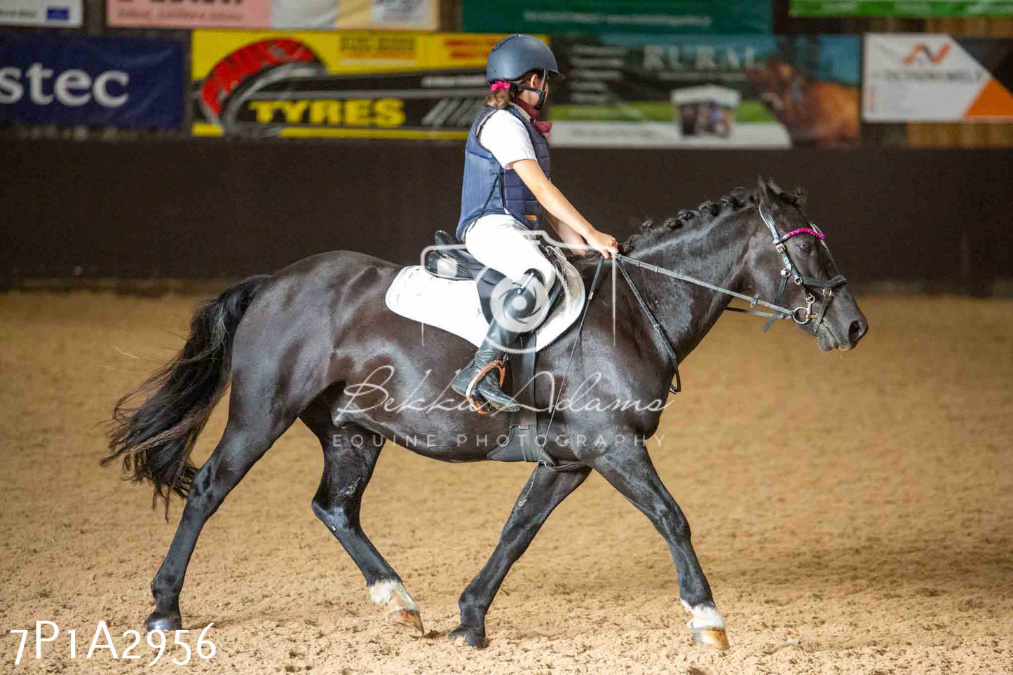 JHOYS 2023 - 7th Septemeber - Dressage