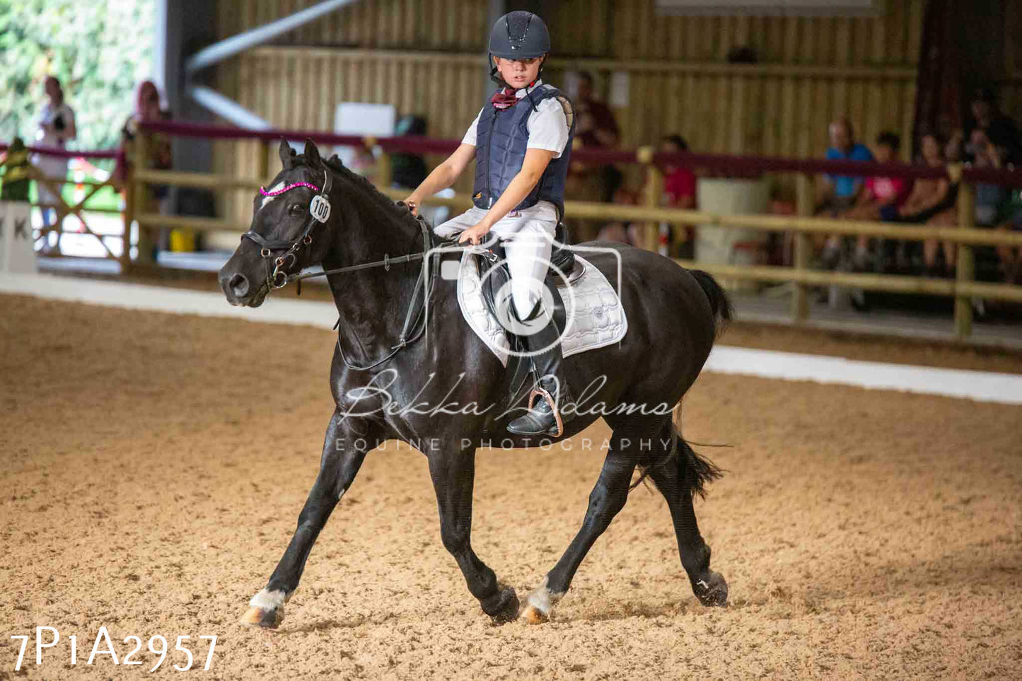 JHOYS 2023 - 7th Septemeber - Dressage