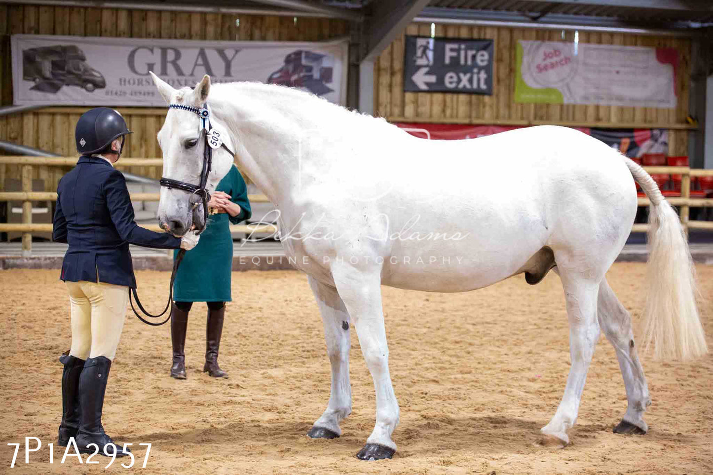 Home Farm Funshine Show 2024 - Inhand Showing 14th September