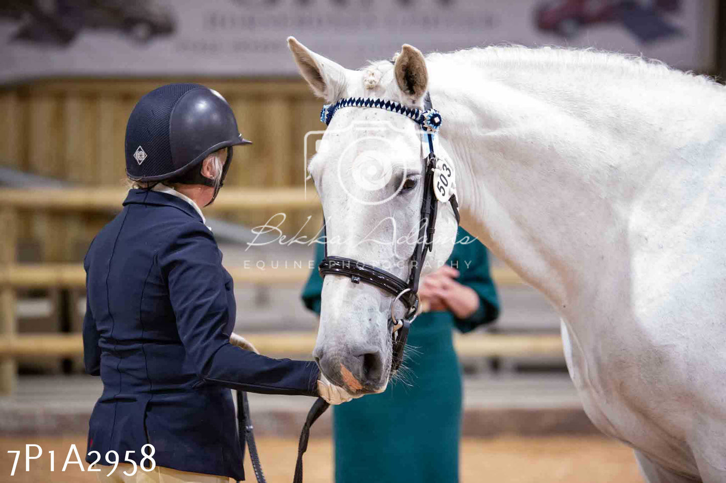 Home Farm Funshine Show 2024 - Inhand Showing 14th September