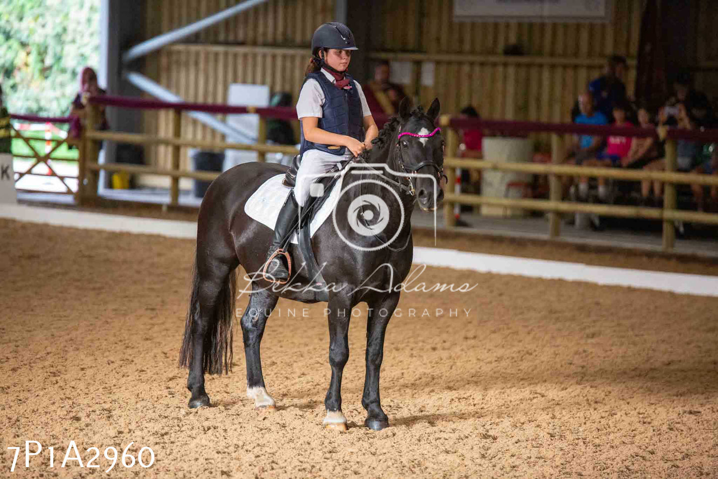 JHOYS 2023 - 7th Septemeber - Dressage