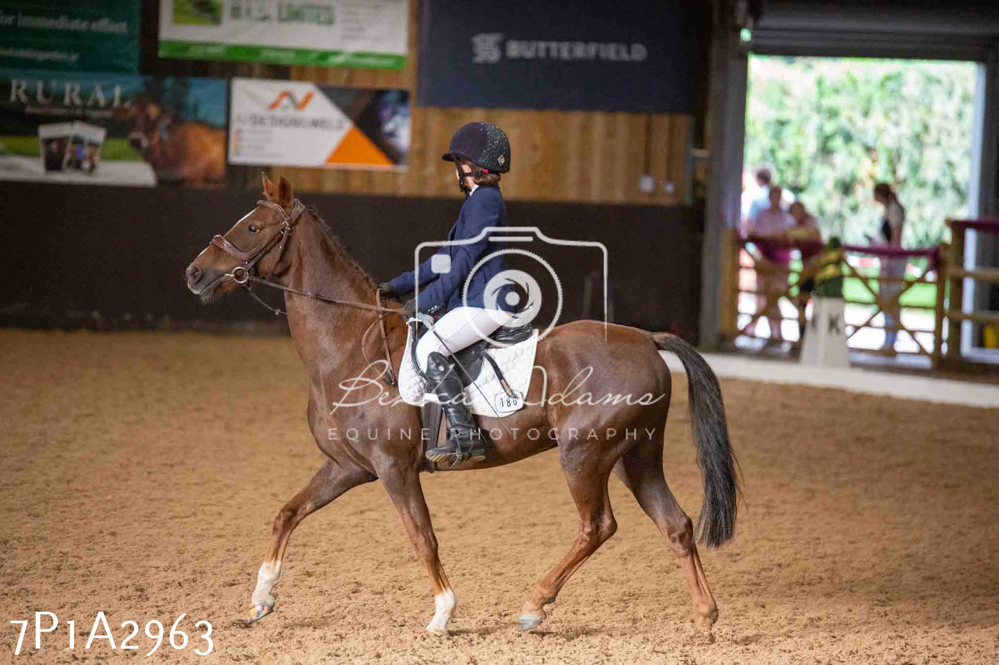 JHOYS 2023 - 7th Septemeber - Dressage
