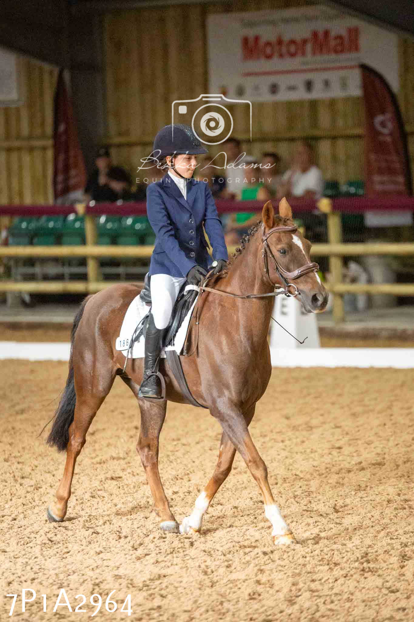 JHOYS 2023 - 7th Septemeber - Dressage