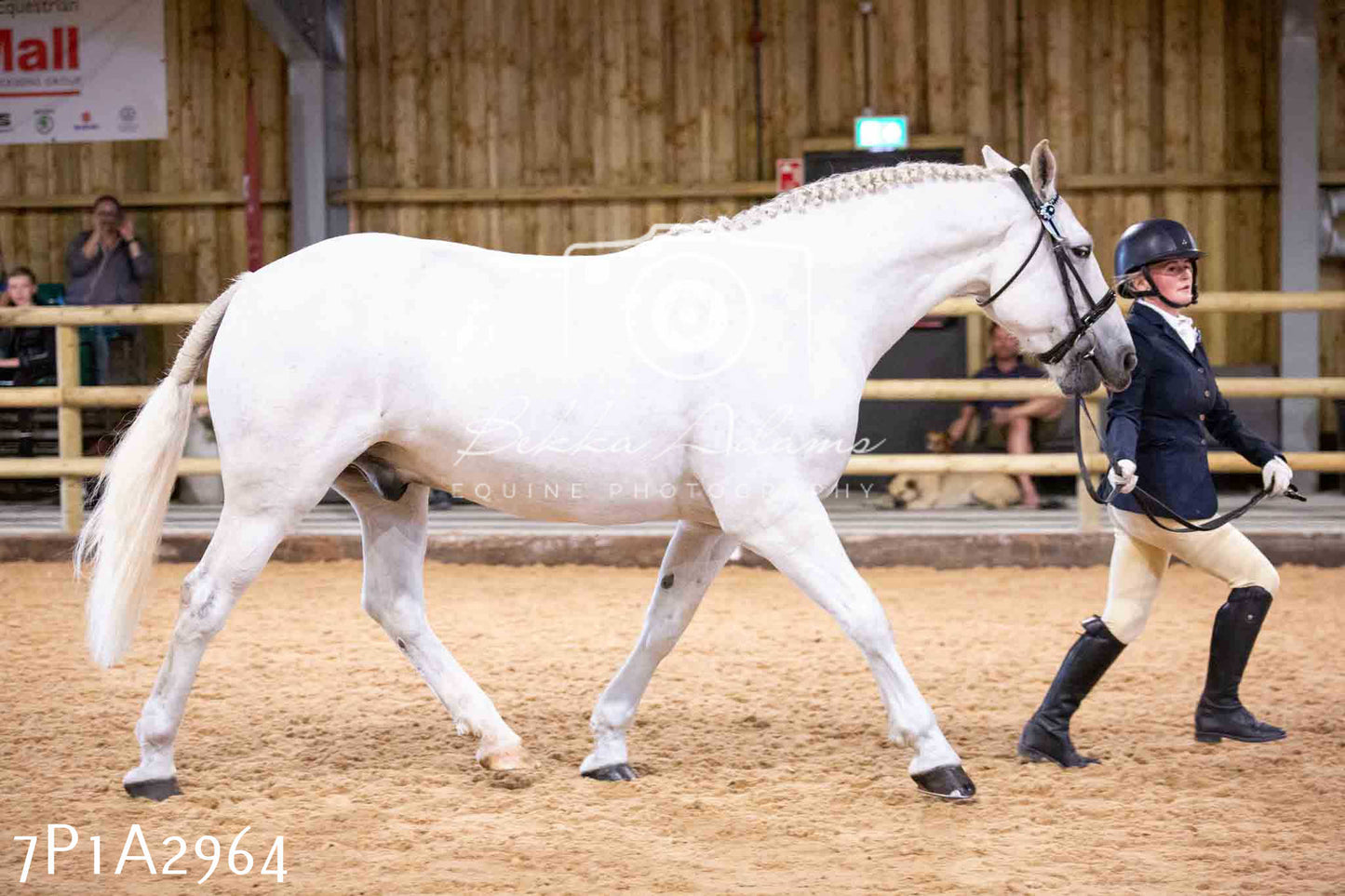 Home Farm Funshine Show 2024 - Inhand Showing 14th September