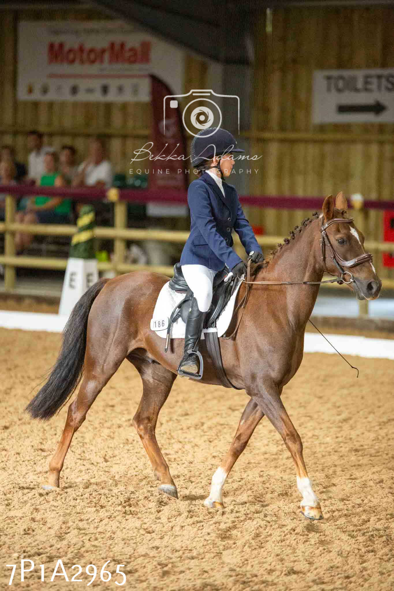 JHOYS 2023 - 7th Septemeber - Dressage
